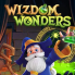 Wizdom Wonders logo